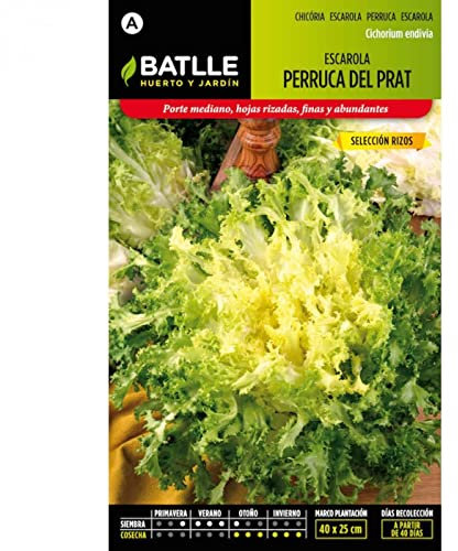 Batlle vegetables seeds - Endive Summer Selection (1800 Seeds)