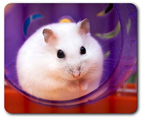 Souris Confortable Tapis - Souris Mignon Hamster Souris Rat 23,5 x 19,6 cm (9,3 x 7,7 Pouces) pour Les Ordinateurs et Ordinateurs Portables, de Bureau, Cadeaux, Base antidérapante - RM2120