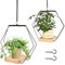Rzspher 2 Stück Blumenampel Hängend Innen,Blumenampel mit Holzsockel,Hängepflanzen Topf Schwarz,Aufhängehaken Inklusive für Innen Außen Terrasse Balkon Zimmerpflanzen, Sukkulenten,Decken Balkone