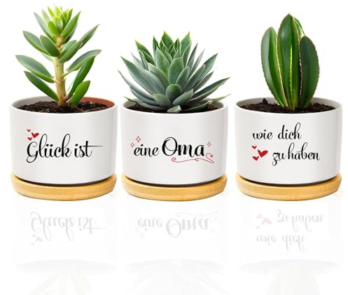 coTaSiEY Oma, Beste Oma Blumentopf Blumentöpfe Geschenke für Oma Muttertagsgeschenk Geburtstagsgeschen Mothers Day Gifts Ostergeschenk