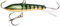 Rapala - Jigging Rap Angelköder - Natürlich Schwimmendes Angelzubehör - Jig-Köder - Variable Lauftiefe - Fischköder 5cm, 9g - Hergestellt in Estland - Legendary Perch