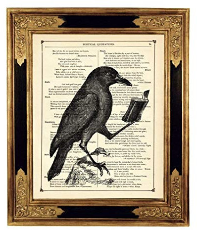 Lesender Rabe Buch Gothic Dark Academia Kunstdruck auf antiker Buchseite Geschenk Leseratte Geburtstag Halloween Poster Bild Steampunk ungerahmt