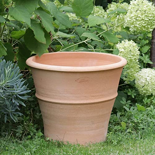 Palatina - Macetero alto de cerámica resistente a las heladas, 40 cm, terracota mediterránea para jardín, yuca de 40 cm