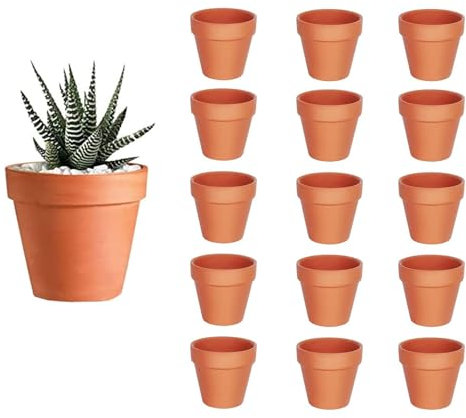 HDKAJL Lot de 15 mini pots de fleurs, en terre cuite, 5,5 x 5 cm, avec trou de drainage, en céramique, pour plantes d'intérieur et d'extérieur, cactus succulents, plantes d'intérieur