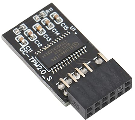 Windows 11 Scheda Madre Gigabyte Tpm 2.0 PCB Tpm 2.0 Crittografia Modulo di Sicurezza per Gigabyte 12Pin Lpc Interfaccia di Alta Sicurezza Scheda Remota Crittografia Modulo di Sicurezza