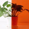 ACESOME Tinted Window Film, Coloured Window Film, Transparent Self-Adhesive Film, Glass Tinting Film, Coloured Glass Self-Adhesive PET for Windows, Doors, Room Divider, Mirror (Orange, 40 * 100cm)