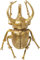 Kare Design Wandschmuck Atlas Beetle, Gold, Deko Objekt, Deko Figur, Käfer Motiv, 36x26x15 cm (H/B/T)
