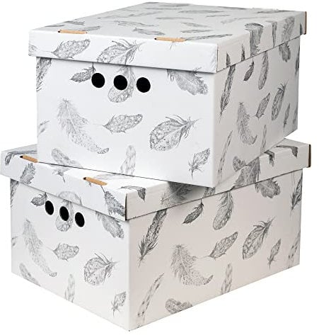 SOFTILLO Cardboard Storage Boxes with Lid, Decorative Wardrobe, Closet, Home & Office Organiser with Handle, Flat-Packed, Stackable File Box, Gift for Adults & Kids, Set of 2, Large - Feathers