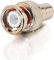 Cables To Go - Adaptador De Vídeo - RCA (H) - Bnc (M) - Oro