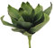 EUROPALMS Agave (Eva), künstlich, grün, 35cm | Weiche Agave mit Soft-Touch-Blättern - gefühlt echt