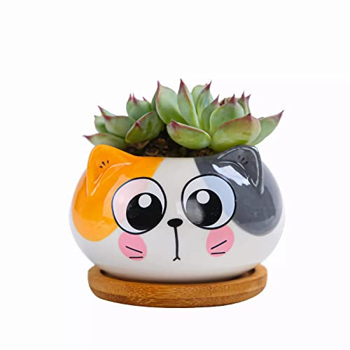 Cuteforyou Vaso da fiori in ceramica a forma di gatto del fumetto da 8,9 cm, con vassoio in bambù, pianta non inclusa (giallo e grigio)