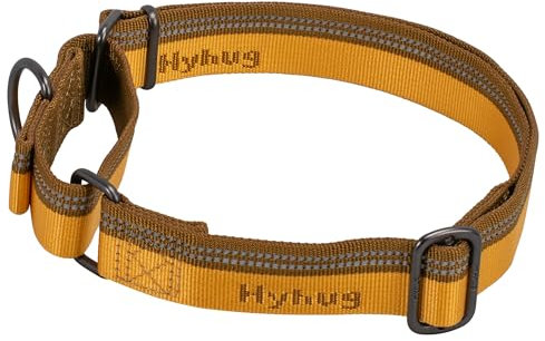 Hyhug Nylon Klassische Halsbänder ,Anti-Flucht Hundehalsband. 3M Reflektierender Streifen, Komfortabel Verstellbar, Sicherer Nachtspaziergang, Hunde-ID-Tag-Montageloch (Kleine, Artisan's Gold)