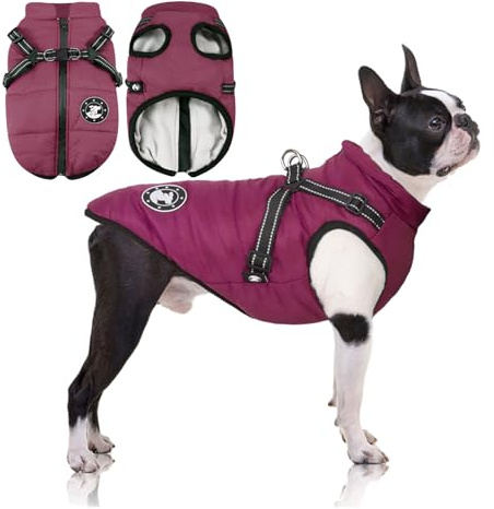 LUOWAN Hundemantel Wasserdicht, Hundemantel Französische Bulldogge, Warme Weste mit Hundegeschirr, Verschiedene Größen,Hundejacke für Kleine Hunde…(20(Brustumfang: 58~64cm),Lila)