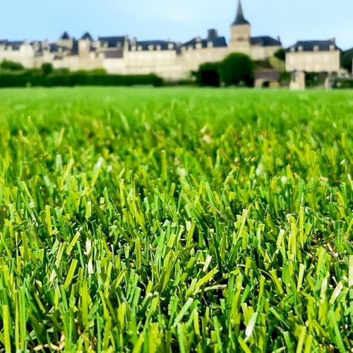 Gazon Synthétique 35mm : 2m de large x 6m de long soit 12M² RÉSISTANT ULTRA DENSE LE GAZON ADAPTÉ À VOS BESOINS
