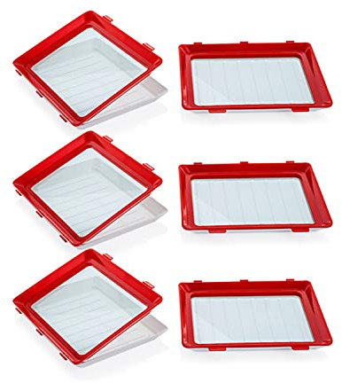 Youning Konservierungsschale Food Preservation Tray Lebensmittelkonservierung Tablett Praktische Frischhaltedose BPA-frei,Vorratsdosen-Set Servierplatte halten Obst, Gemüse und Fleisch frisch (6 PCS)