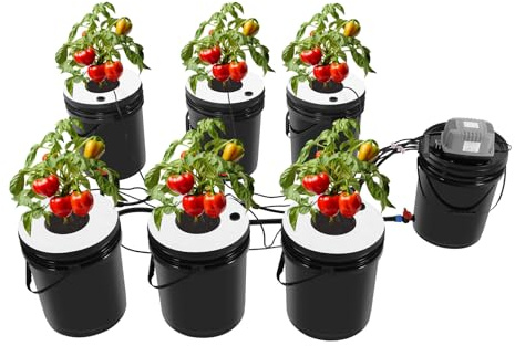 DWC Système hydroponique de culture en eau profonde avec seau d'échange d'eau pour légumes et graines