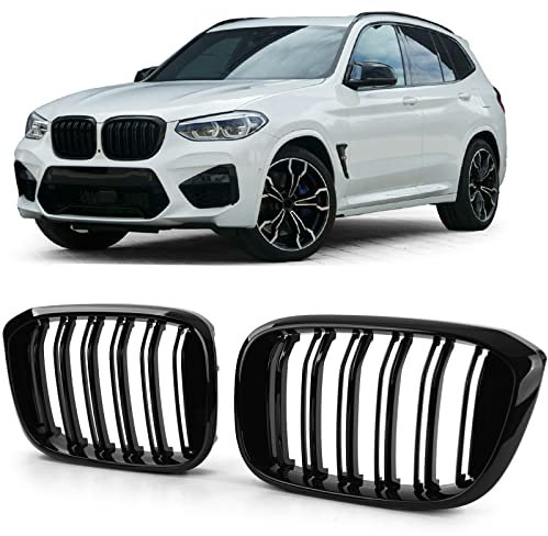 Sport Kühlergrill Doppelsteg Glanz passend für BMW X3 G01 X4 G02 17-21