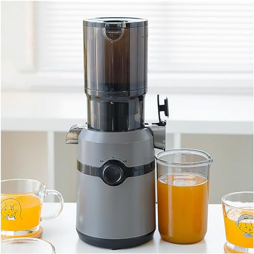 Professional Slow Masticating Juicer, 300W Slow Juicer, Cold Press Masticating Juicer with 13cm Feeding Chute, Portable Pomace Separation Juicer, for Fruits Vegetables Green