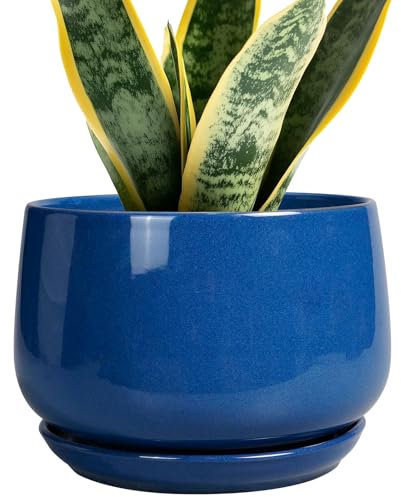 G EPGardening Runde Keramik-Blumentöpfe – 17,8 cm, moderner Übertopf mit Drainage und Pflanzen-Untersetzer für Innen- und Außenbereich, runde Bürodekoration, neue Geschenke für Zuhause, Blau