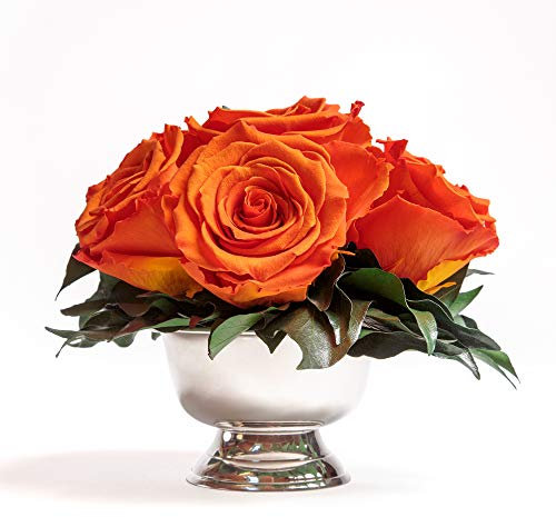 ROSEMARIE SCHULZ Heidelberg Infinity Rosen in Silberfarbener Blumenschale - 6 Konservierte Rosen, Rosenbox, Blumenstrauß (Orange)
