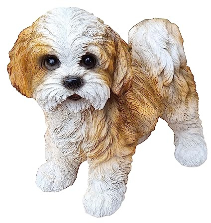 Fachhandel Plus DEKOFIGUR Hund Shih Tsu Toffie Tierfigur stehend lebensechter Deko-Hund In-und Outdoor