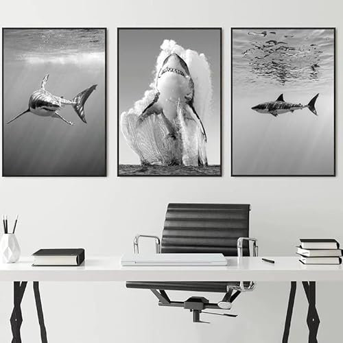 Tier Leinwand Malerei Schwarz Weiß Wand Kunst Hai Poster Drucke Natur Malerei Bild Büro Raum Home Decor Kein Rahmen-40x50cmX3