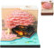 2025 Kalender mit Licht 3D Memo Papier Kreativer Kalender DIY Notizen Papier Skulptur Geschenk Notizblock Papier Kunst Erde Skulptur Home Deko Geschenk (Blühender Baum Rosa)