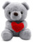Teddybär, Plüsch-Bär 23cm Teddy mit Liebe, Stofftier Teddy, Teddybären Liebe Stofftier, Kuscheltier Spielzeug Dekozimmer Kissen, Schmusetier Geschenke Für Mama, Kinder, Liebhaber, Valentinstag (Grau)