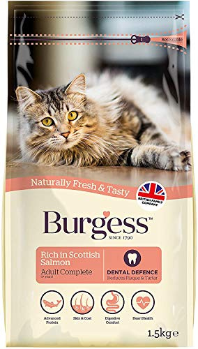 Burgess Scottish Salmon for Adult Cat, 1.5 kg (Pack of 2)