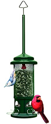 Squirrel Buster Standard Squirrel-proof Bird Feeder w/4 Metal Perches, 1.3-pound Seed Capacity, garden green