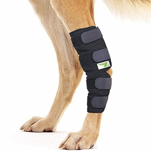 RockPet Gelenkbandage für das Hinterbein ihres Hundes (L)