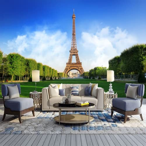 GIVLWF Papier Peint Intissé de Belle Tour Eiffel, Célèbre France Paris Panoramique Déco Mural - pour Salon Chambre D'enfant Décoration Murale 250 x 175 cm