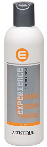 Artistique Experience Color Finish 250ml