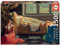Sleeping Beauty (Puzzle)