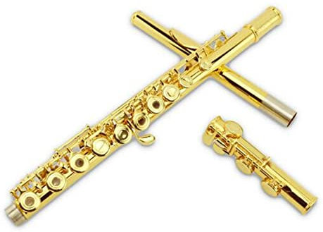 16 Tasten Loch Offene Flöte Cupronickel Gold Lack C Tune Flöte Musikinstrument Querflöte
