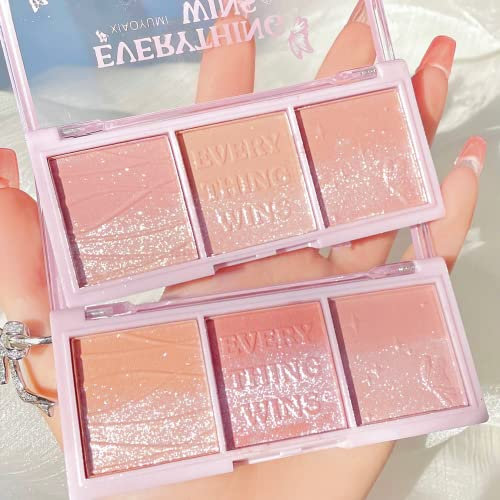 3 Shade Blush Palette, Palette Viso Blush e Illuminante Highlighter, Bronzer e Palette Blusher, Fard in Polvere,Fard viso a lunga durata con bagliore naturale fard per trucco viso professionale (#01)