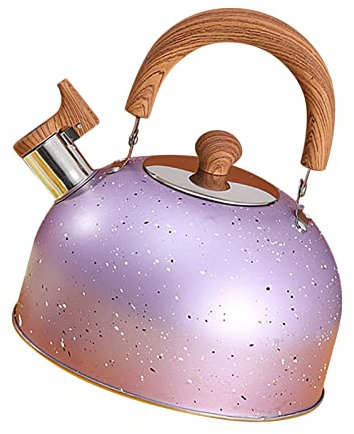 Water Kettle, Anti Corrotion Exquisite Whistle Reminder Stainless Steel Kette Light for Office (Purple)