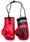 ProSx - Mini-Boxhandschuhe für den Innenspiegel I Vielfalt verschiedener Flaggendesigns (Albanien)