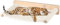 HUOLE Hamac Chat Fenetre Perchoir de fenêtre lit pour Chat Facile a Monter Jusqu'à 18kg-61 * 40 * 15 cm-Blanc