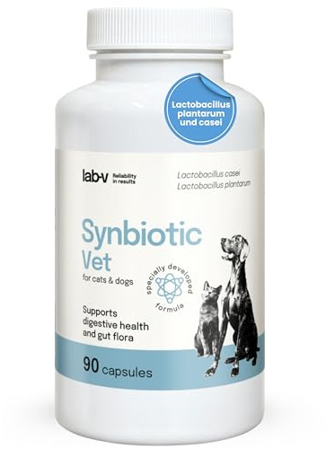 Lab-V Synbiotic Vet Probiotici per Cani e Gatti 90 Capsule Probiotico Digestivo per Cani e Gatti con Prebiotici Integratori Cane e Gatto Fermenti Lattici Intestino Salute