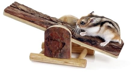 Karlie Wonderland Wippe, Nagerspielzeug, Holz, Natur, 22x8x7 cm