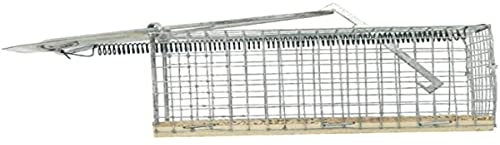 NON DEFINIE 0 Raticides et Anti nuisibles,