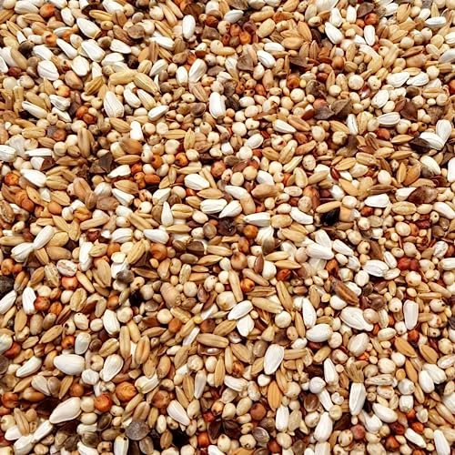 Supravit Super Diät Taubenfutter 2,5kg ohne Mais für Tauben während der Reisesaison | ausgewogene Körnermischung | Vogelfutter alle Tauben-Rassen