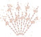 Lot de 20 pailles en papier pour fête d'anniversaire 40 ans Or rose