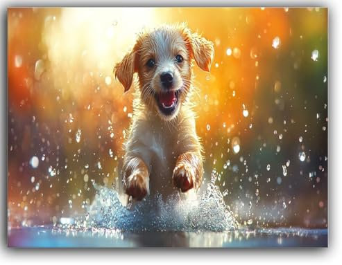 Zsoxooll Malen Nach Zahlen Erwachsene Hund Malen Nach Zahlen Kinder Tier Malen Nach Zahlen ab 7 Jahre Mädchen Geschenke mit Pinseln und Acrylfarbe, Zimmer Deko Wohnzimmer, mit Rahmen Leinwand 30X40CM