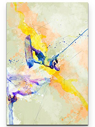 Paul Sinus Art Wakeboard 90x60cm auf Leinwand gespannt fertig zum aufhängen