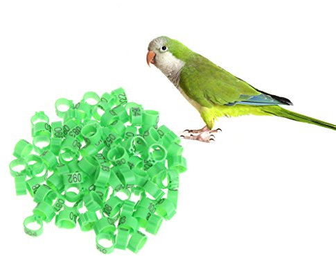Yanhonin 100 Stück 10 mm Identify Ring, Tauben Training Supplies Vogelbänder mit Beinnummer