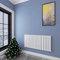 Acezanble∣Horizontal Designer Flat Panel Radiator White 600x1156mm Double Panel Central Heating