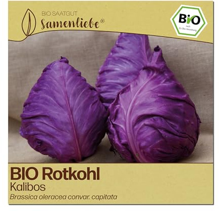 Samenliebe BIO Rotkohl Samen | Kohl Kalibos - winterhart & spitz - samenfestes BIO Saatgut