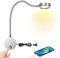 Leselampe Wandmontage, LED Bettleuchte Wandleuchte mit Touch Button Einstellbar Licht 3000-6000K, 4W Bettlampe 360° Flexible Schwanenhals Lampe mit USB-Ladeanschluss für Bett, Schlafzimmer, Silber